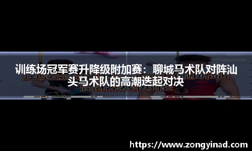 NG体育官网